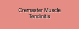 Cremaster Muscle Tendinitis