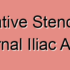 Arteriosclerotic Stenosis of the Internal Iliac Artery