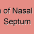 Deviation of Nasal Bone Septum