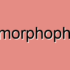Muscle Dysmorphia