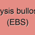Epidermolysis Bullosa Simplex (EBS)