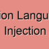 Heartbleed Bug