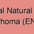 Nasal-Type NK Lymphoma