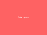 Fetal Lipoma