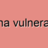 Validation for XSS Protection