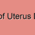Fundus of Uterus Disorders