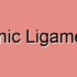 Gastrosplenic Ligament Sprain