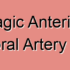 Embolic Anterior Inferior Temporal Artery Stroke