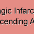 Descending Aorta Infarction