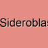 Types of Sideroblastic Anemia