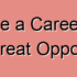 14 Steps to Achieve Career Success