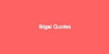 Ikigai Quotes