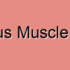 Iliacus Muscle Dysfunction