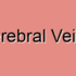 Inferior Cerebral Veins Malformation
