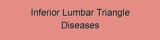 Inferior Lumbar Triangle Diseases