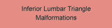 Inferior Lumbar Triangle Malformations