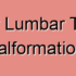 Inferior Lumbar Triangle Diseases