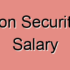 What Is Software Security?