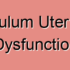 Infundibulum Uterine Tube Swelling