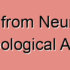 Dual Semantic Fusion Network for Video Object Detection