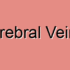 Internal Cerebral Vein Diseases