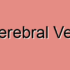 Internal Cerebral Vein Cancer
