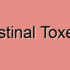 Adult Intestinal Colonization