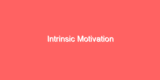 Intrinsic Motivation