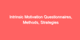 Intrinsic Motivation Questionnaires, Methods, Strategies