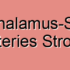 Thalamosubthalamic Arteries Stroke