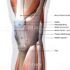 How is bursitis of the kneecap treated?