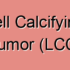 Precocious Puberty