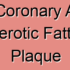Left Coronary Artery Atherosclerotic Fibrous Plaque