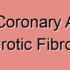 Left Coronary Artery Atherosclerotic Fatty Streaks Plaque