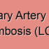 Left Coronary Artery Thrombotic Air Embolism