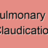 Left Pulmonary Artery Occlusion