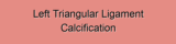 Left Triangular Ligament Calcification