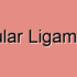 Left Triangular Ligament Spasm