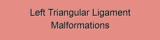 Left Triangular Ligament Malformations