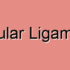 Left Triangular Ligament Cramps