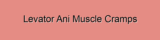 Levator Ani Muscle Cramps