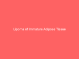 Lipoma of Immature Adipose Tissue