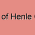 Loop of Henle Masses