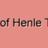 Loop of Henle Masses