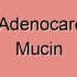 Lungs Micropapillary Adenocarcinoma