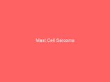 Mast Cell Sarcoma