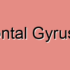 Middle Frontal Gyrus Disorders
