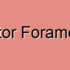 Obturator Foramen Atrophy