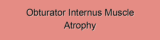 Obturator Internus Muscle Atrophy