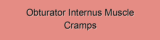 Obturator Internus Muscle Cramps